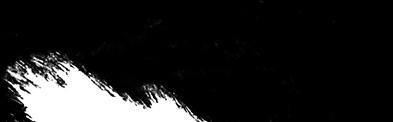 Harlequinagilityheader2