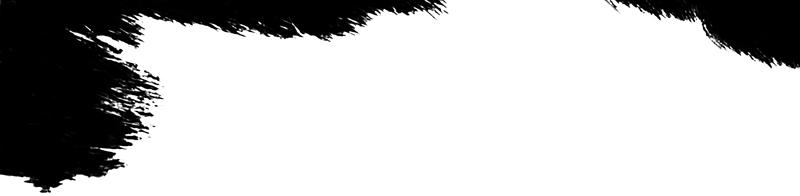 Harlequinagilityheader2