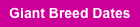 Giant Breed Dates