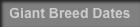 Giant Breed Dates