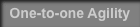 One-to-one Agility