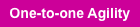 One-to-one Agility