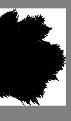 spot1a